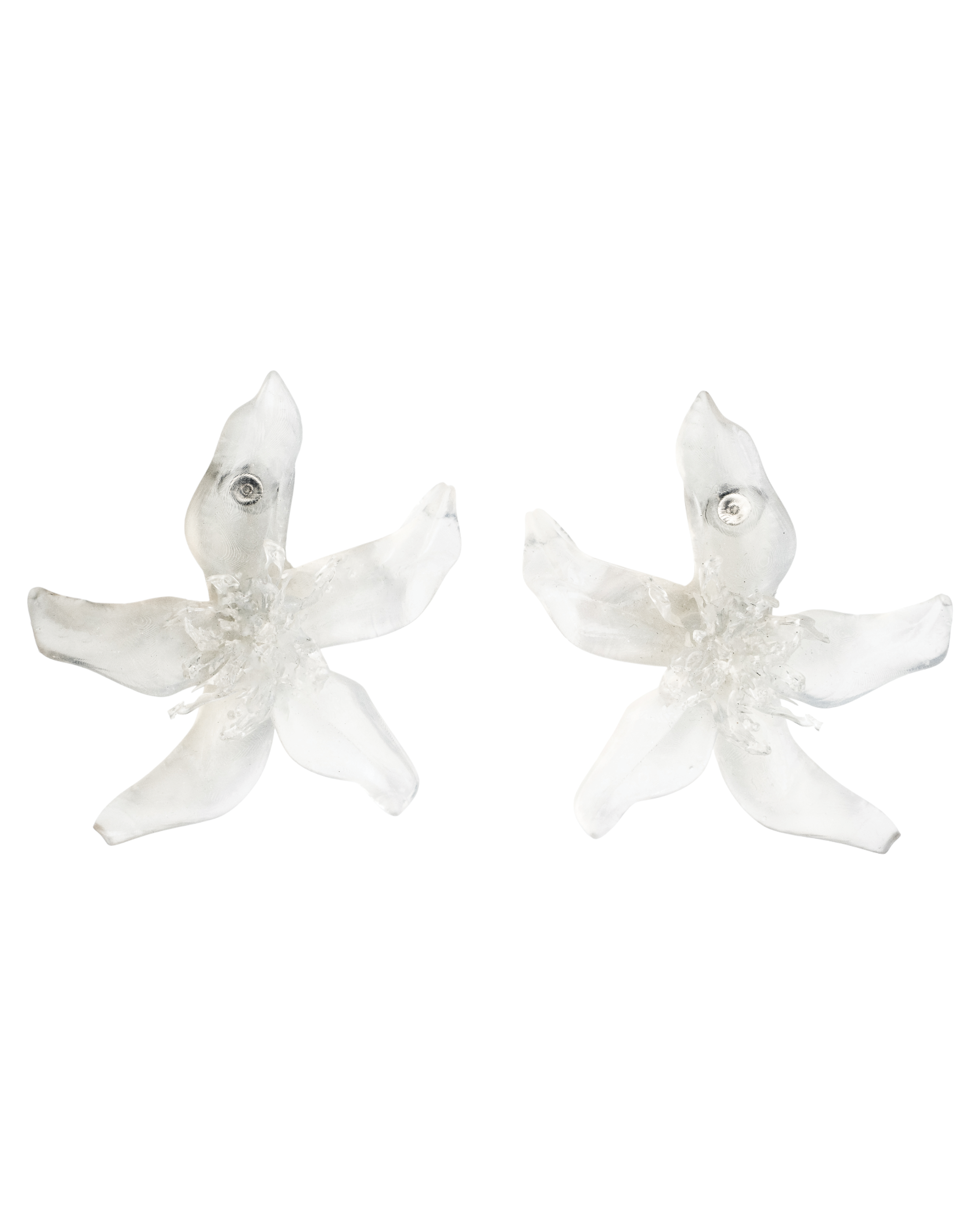 Opaque clear - Pleiosien x Karlaidlaw