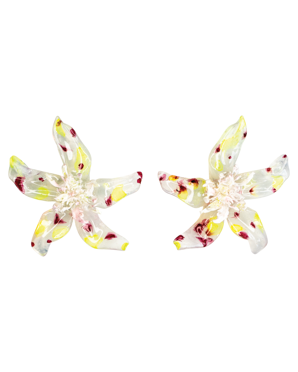 Speckled clear - Pleiosien x Karlaidlaw