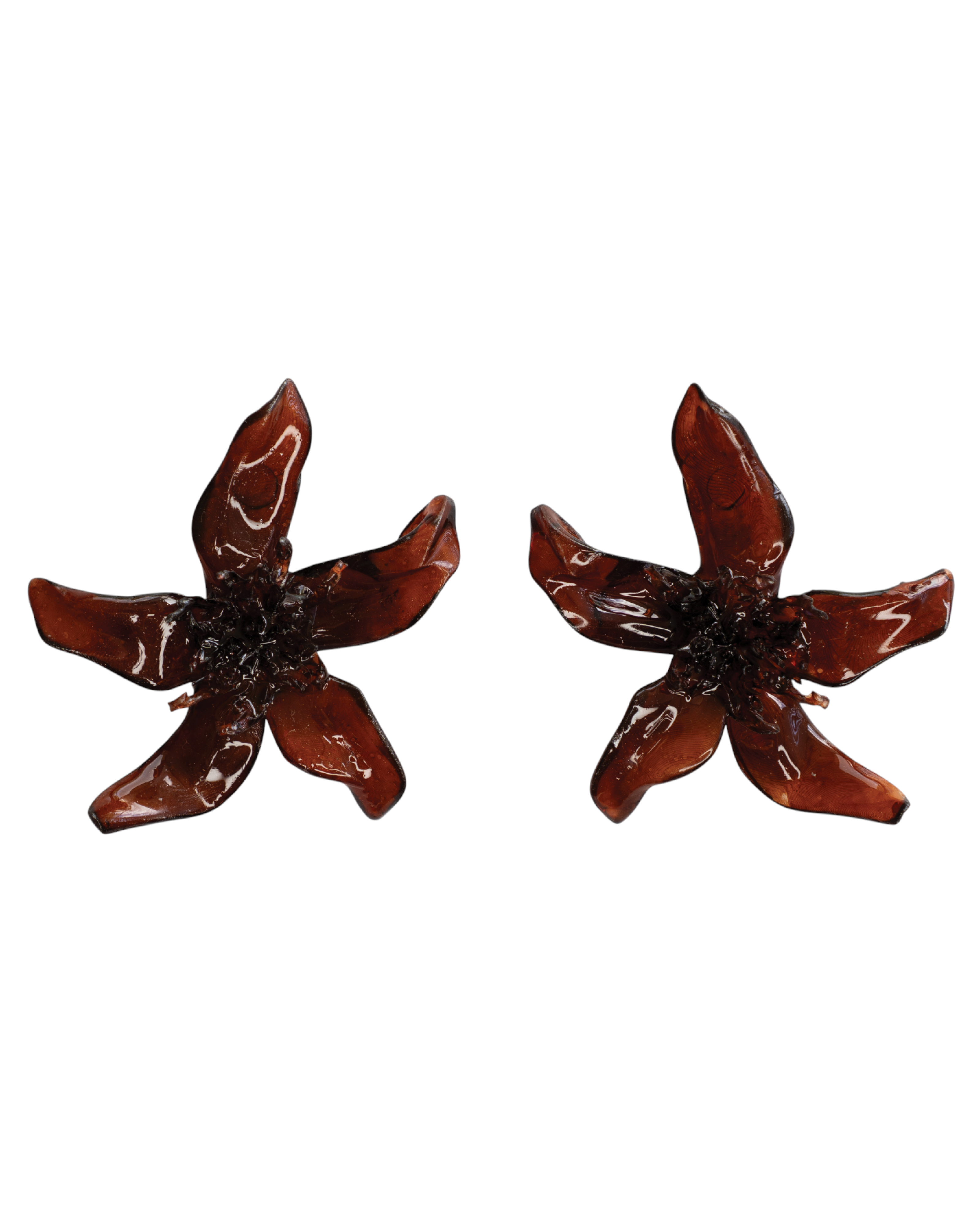 Umber - Pleiosien x Karlaidlaw