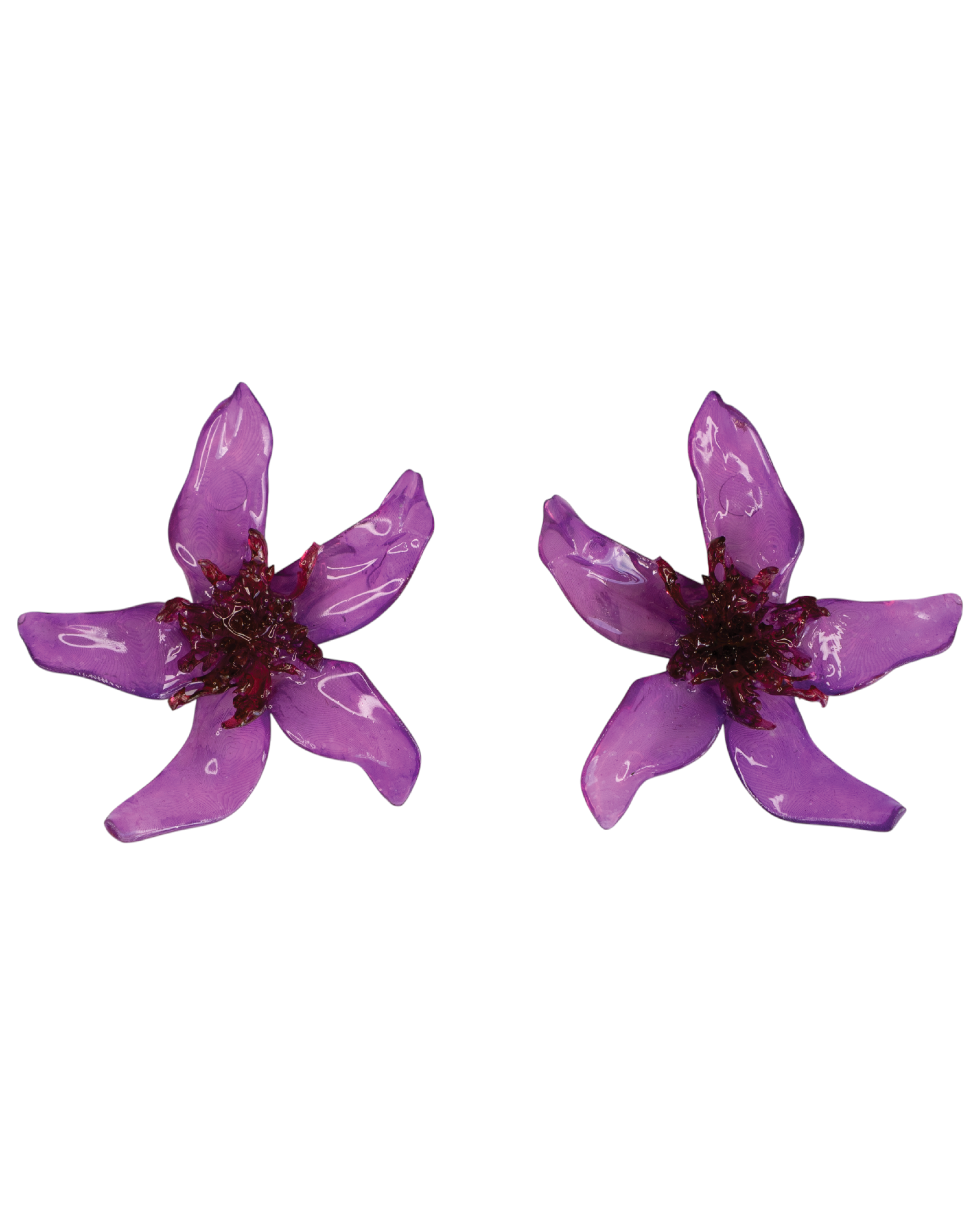 Plum red - Pleiosien x Karlaidlaw