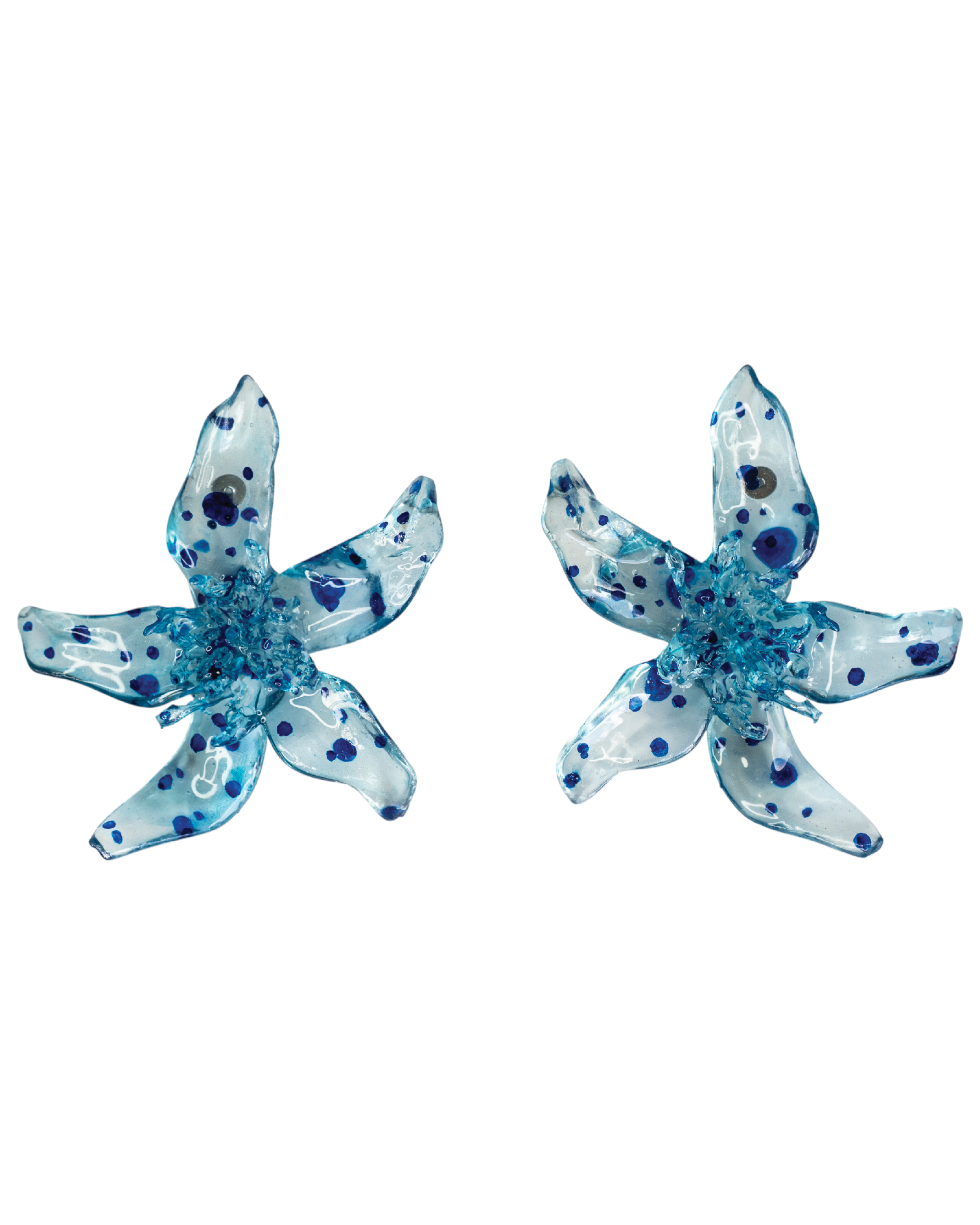 Blue dot - Pleiosien x Karlaidlaw