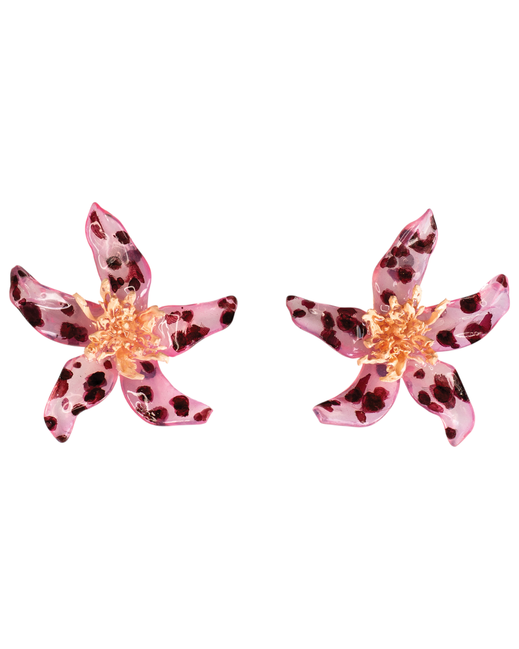 Spotted bloom - Pleiosien x Karlaidlaw