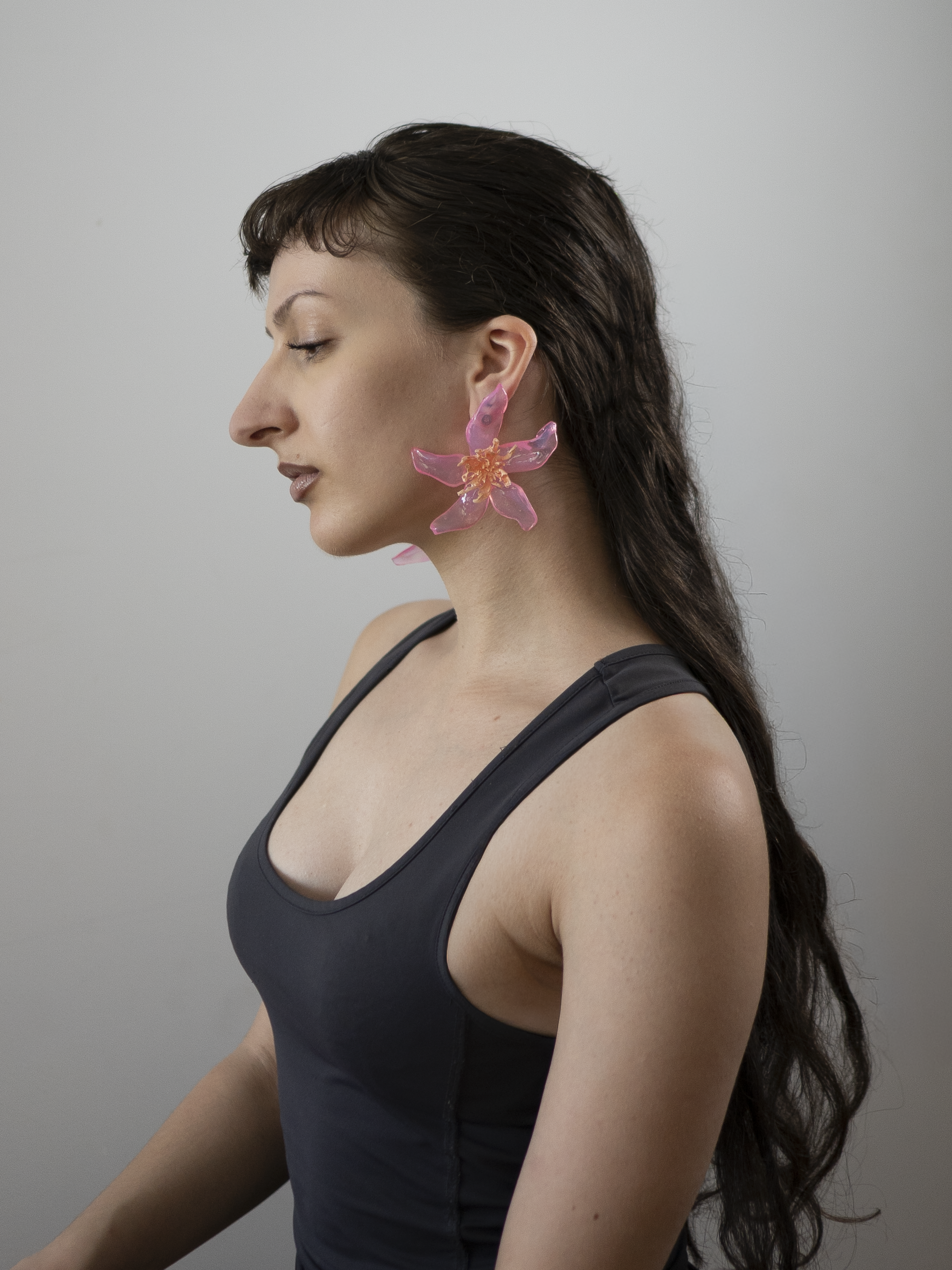 Rose cream - Pleiosien x Karlaidlaw