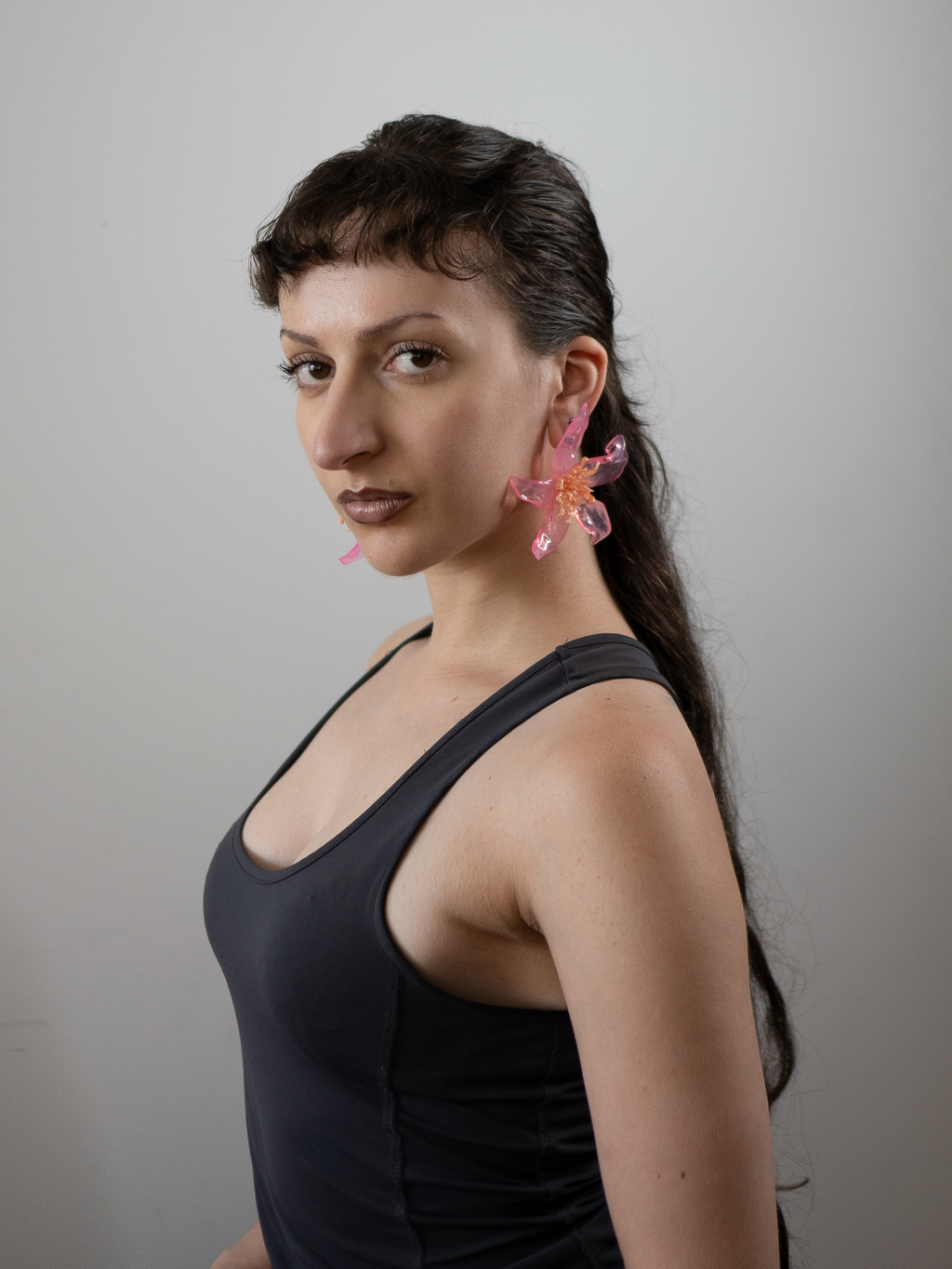 Rose cream - Pleiosien x Karlaidlaw