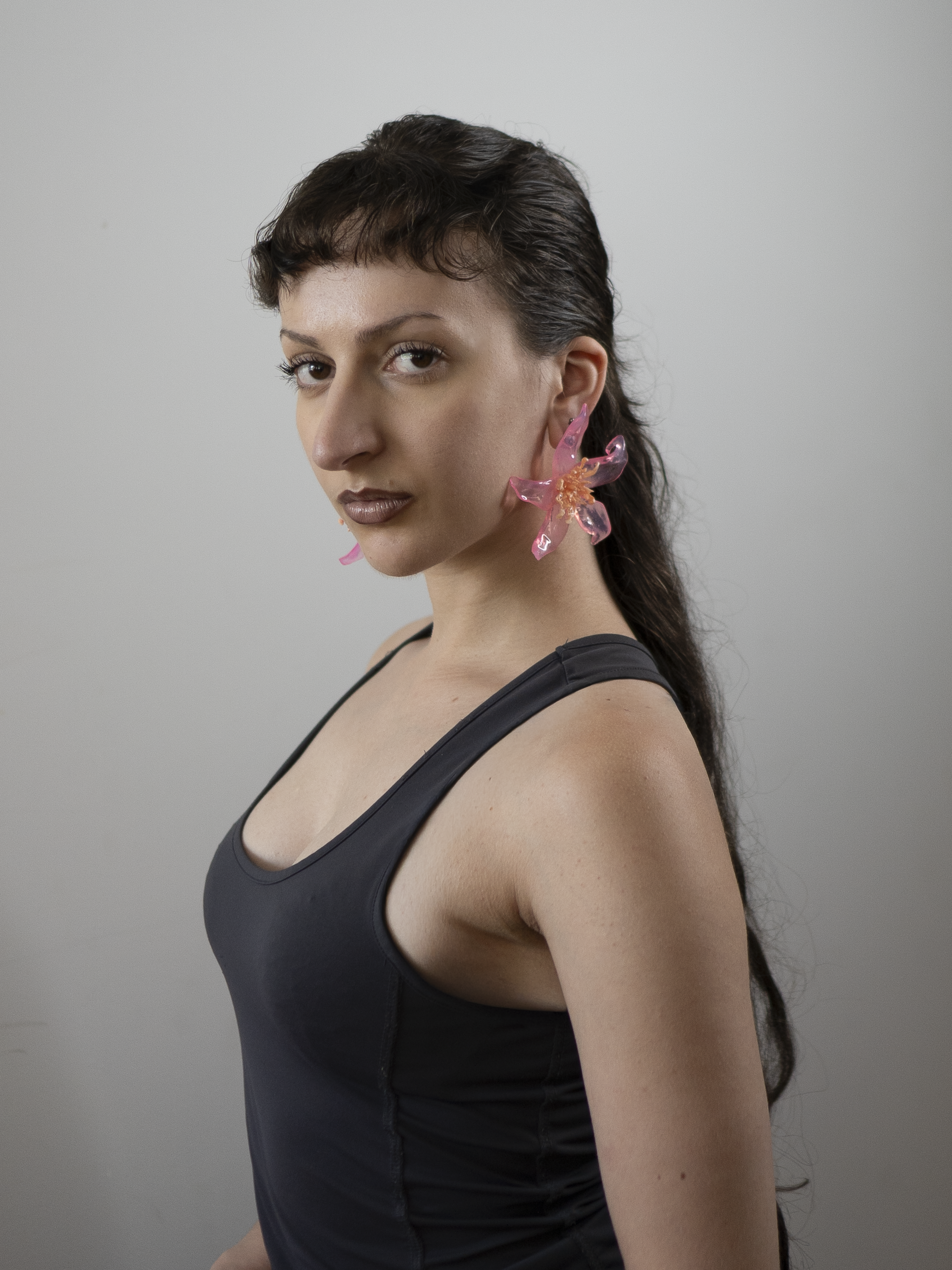 Rose cream - Pleiosien x Karlaidlaw