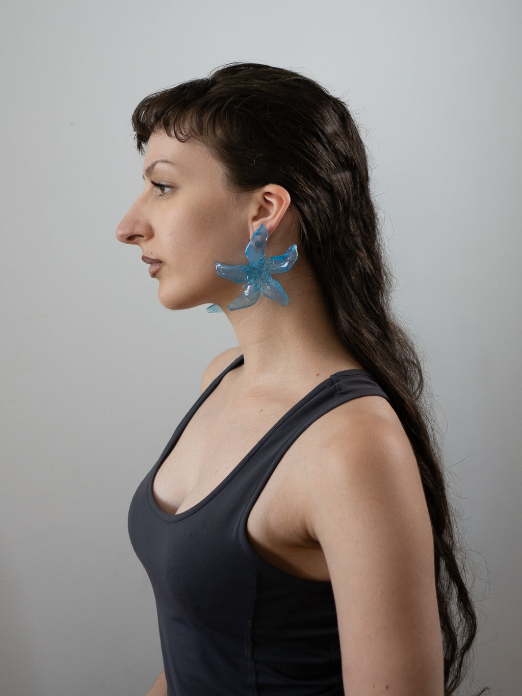 Blue - Pleiosien x Karlaidlaw