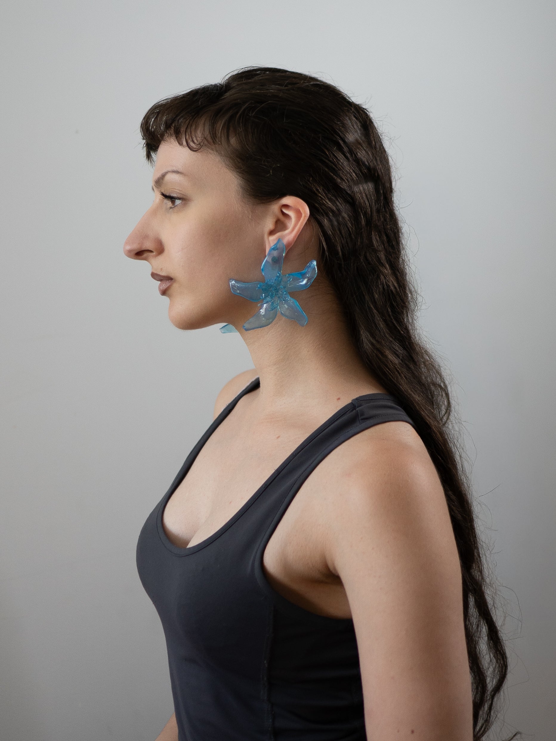 Blue - Pleiosien x Karlaidlaw