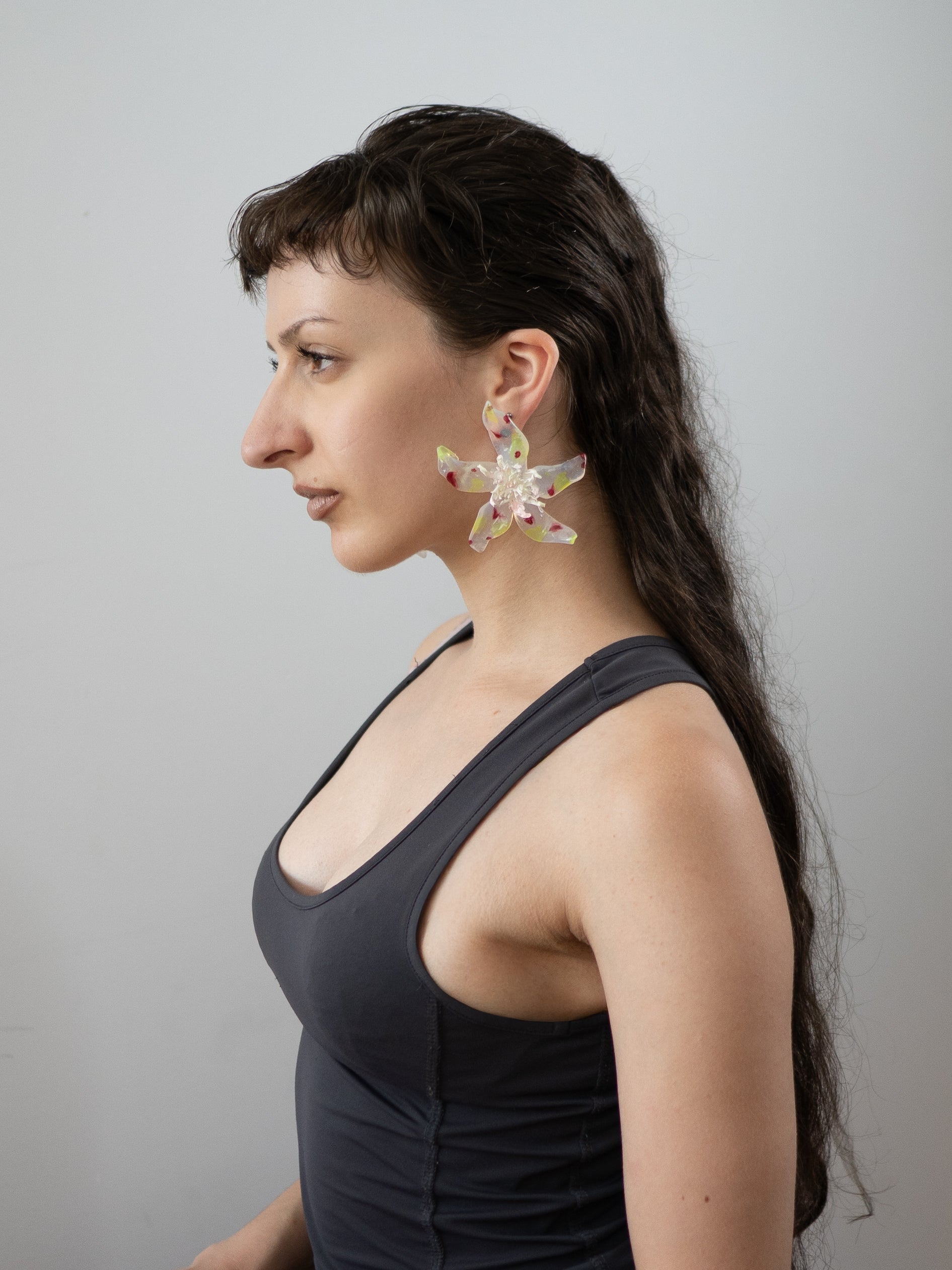 Speckled clear - Pleiosien x Karlaidlaw