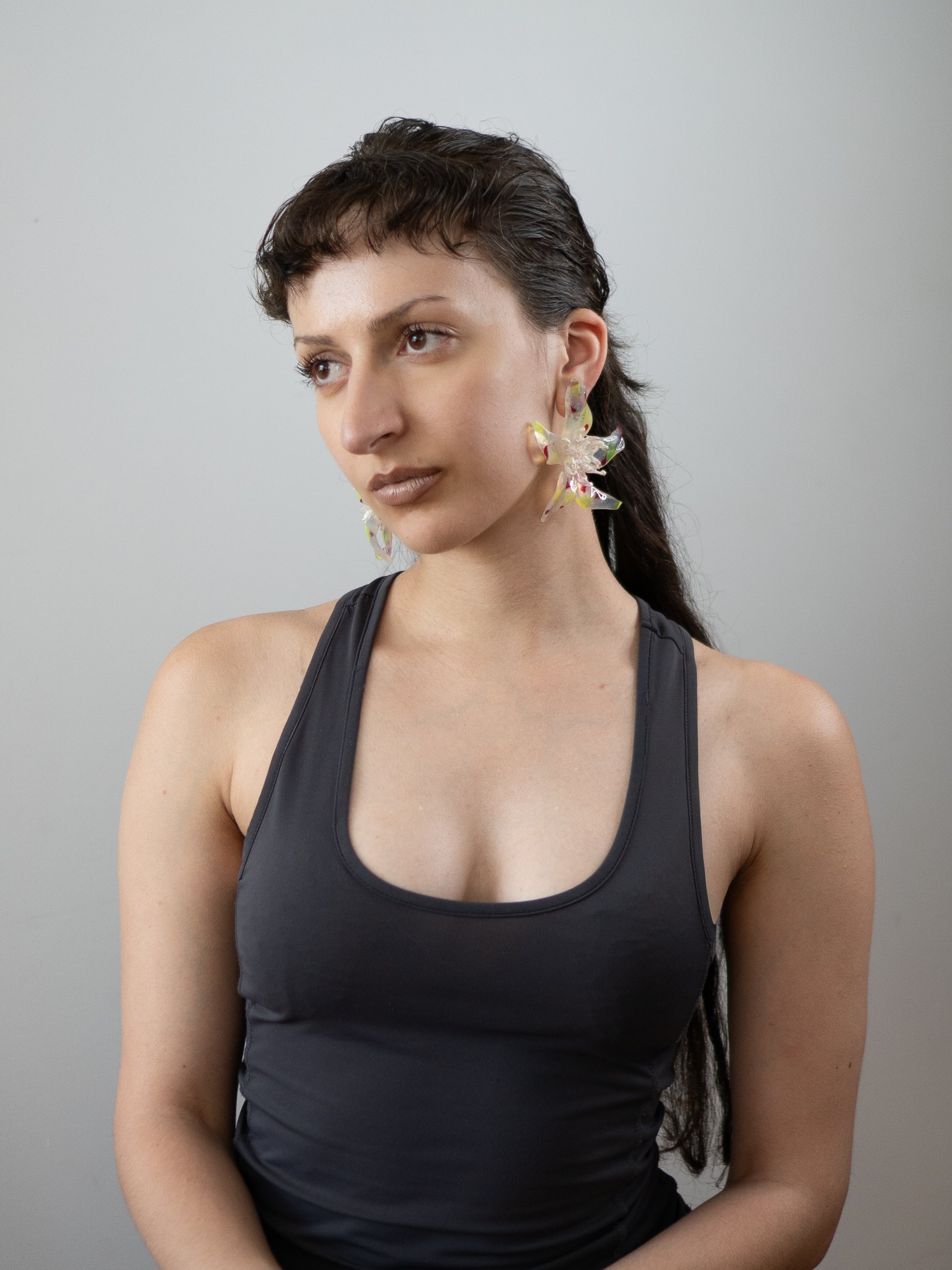 Speckled clear - Pleiosien x Karlaidlaw