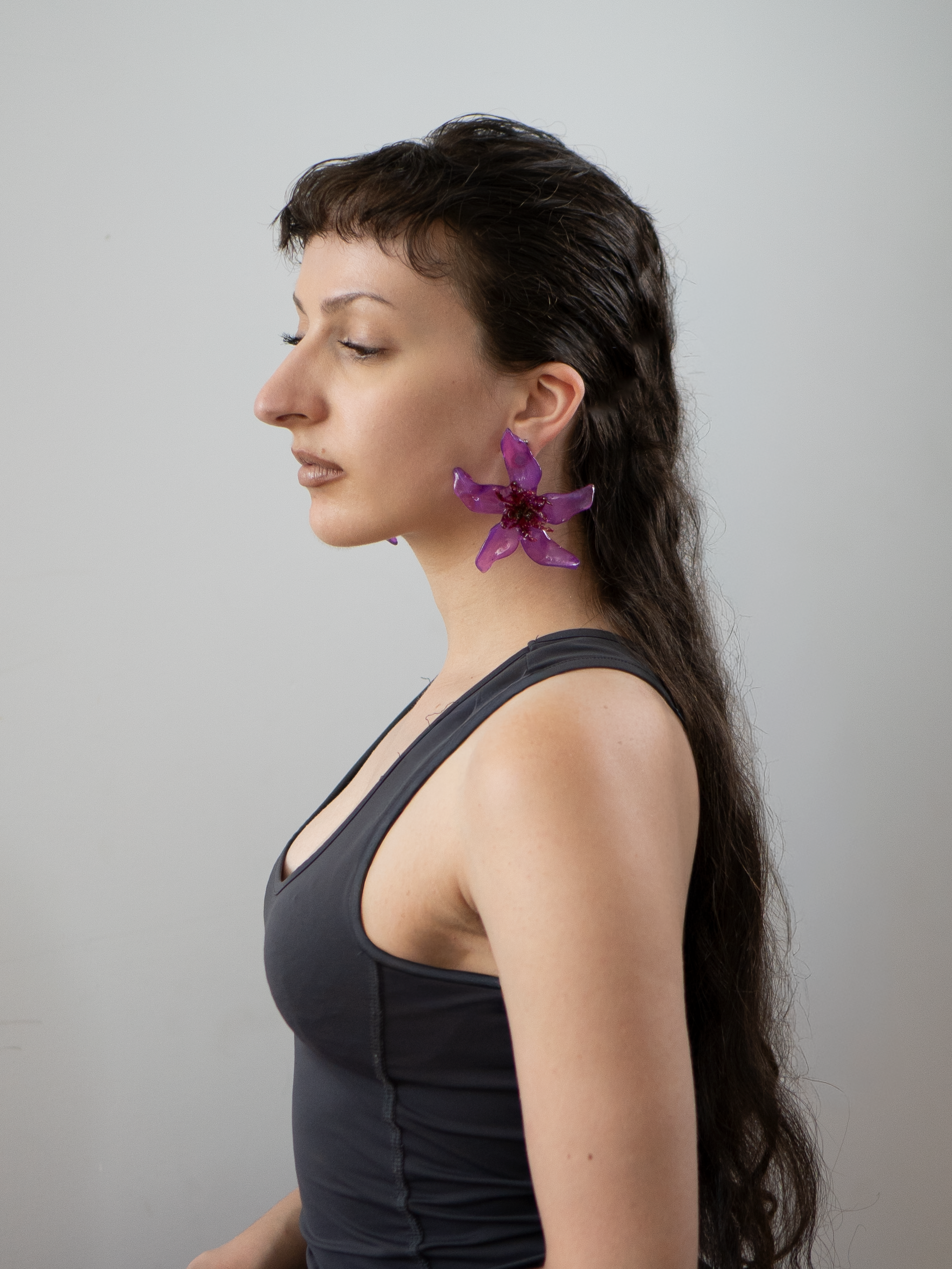 Plum red - Pleiosien x Karlaidlaw