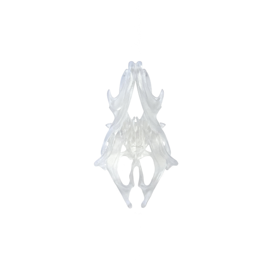 'Entwine 𝑅𝒾𝓃𝑔'