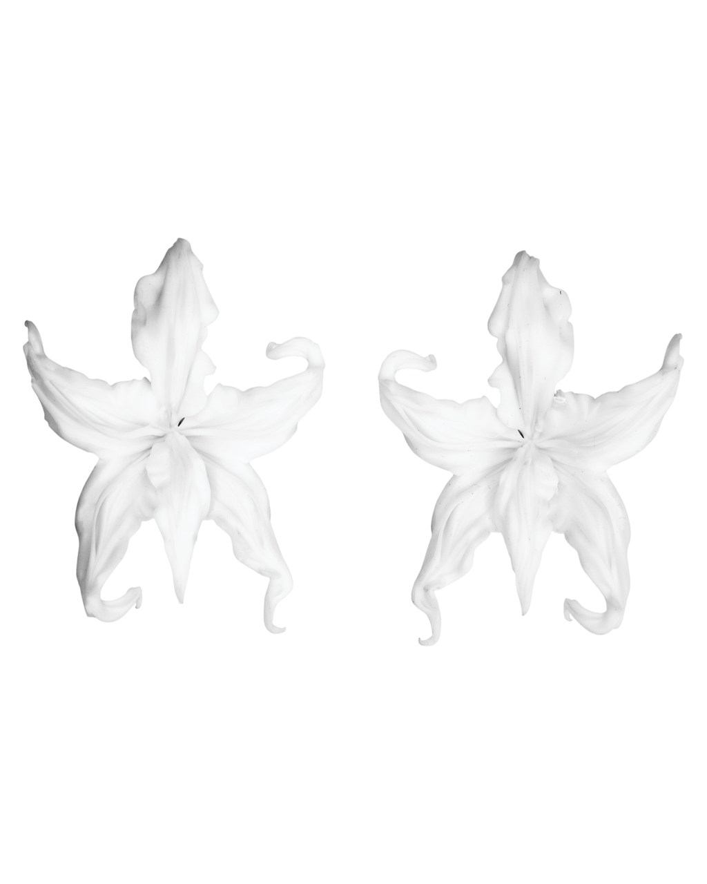 Άνθη (anthi) earring - White