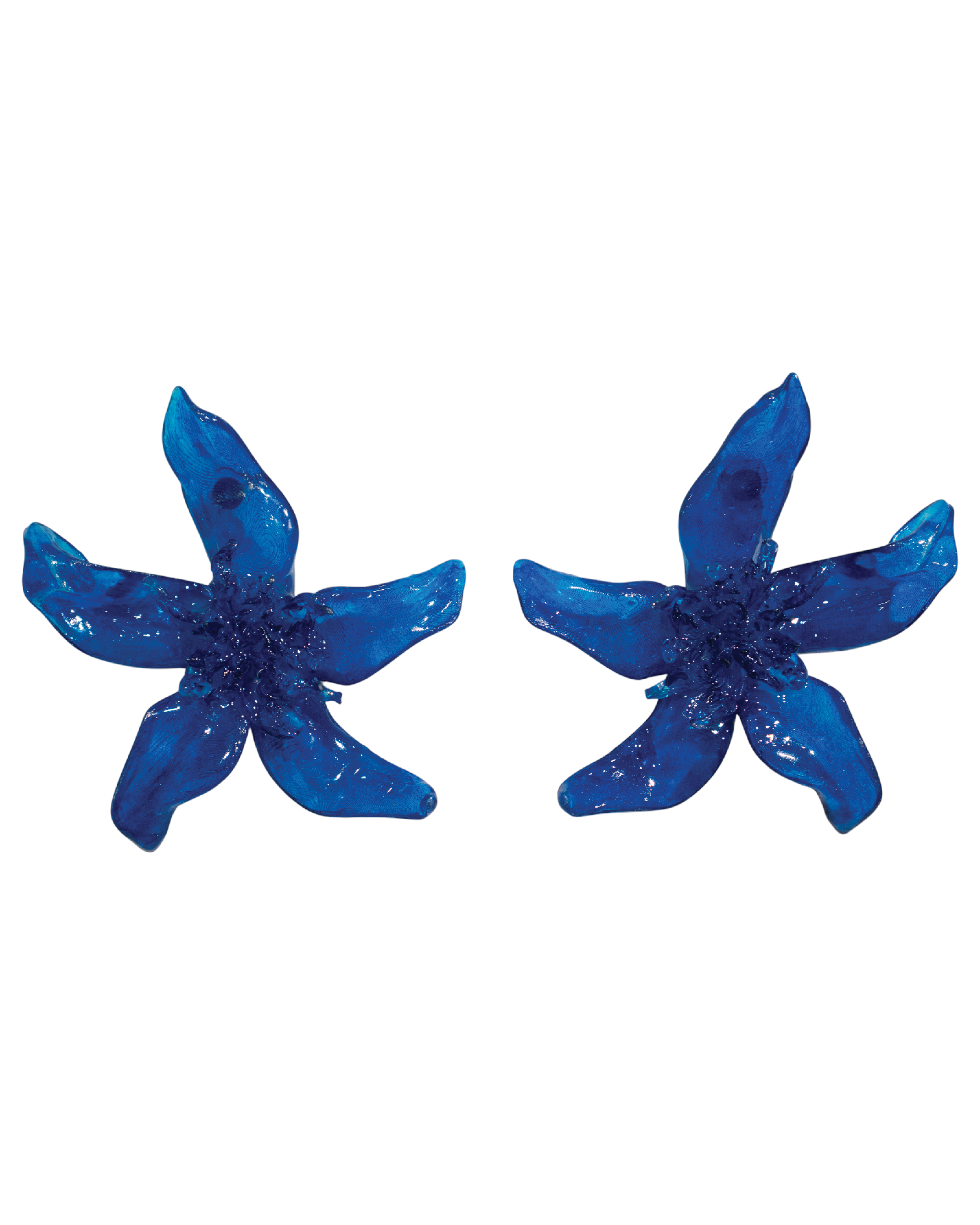 Navy blue - Pleiosien x Karlaidlaw