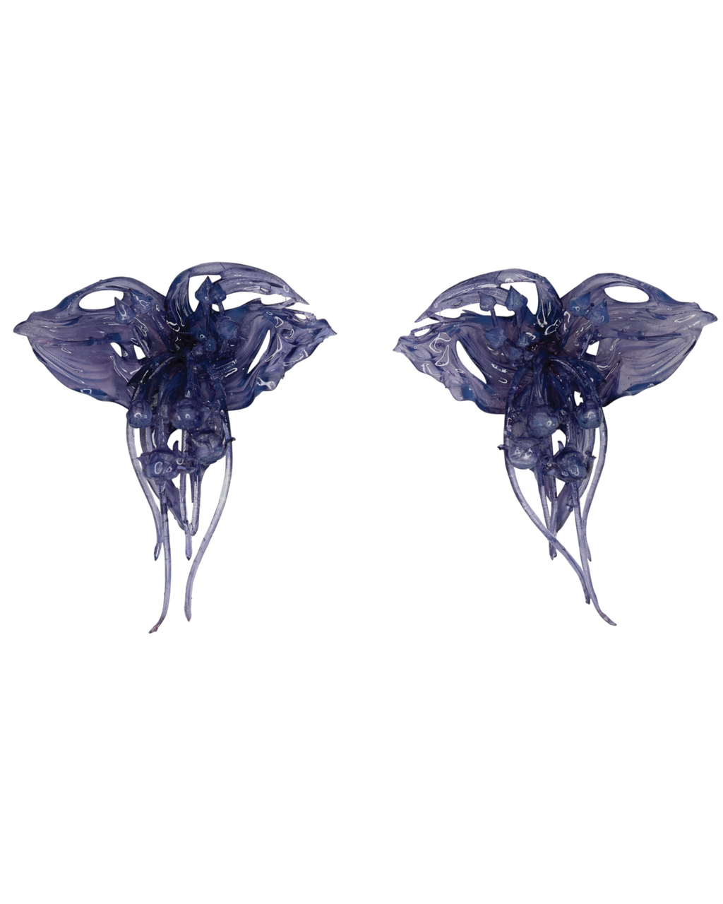 ‘Louloudi Nychterídas (bat flower)’ - Lavender