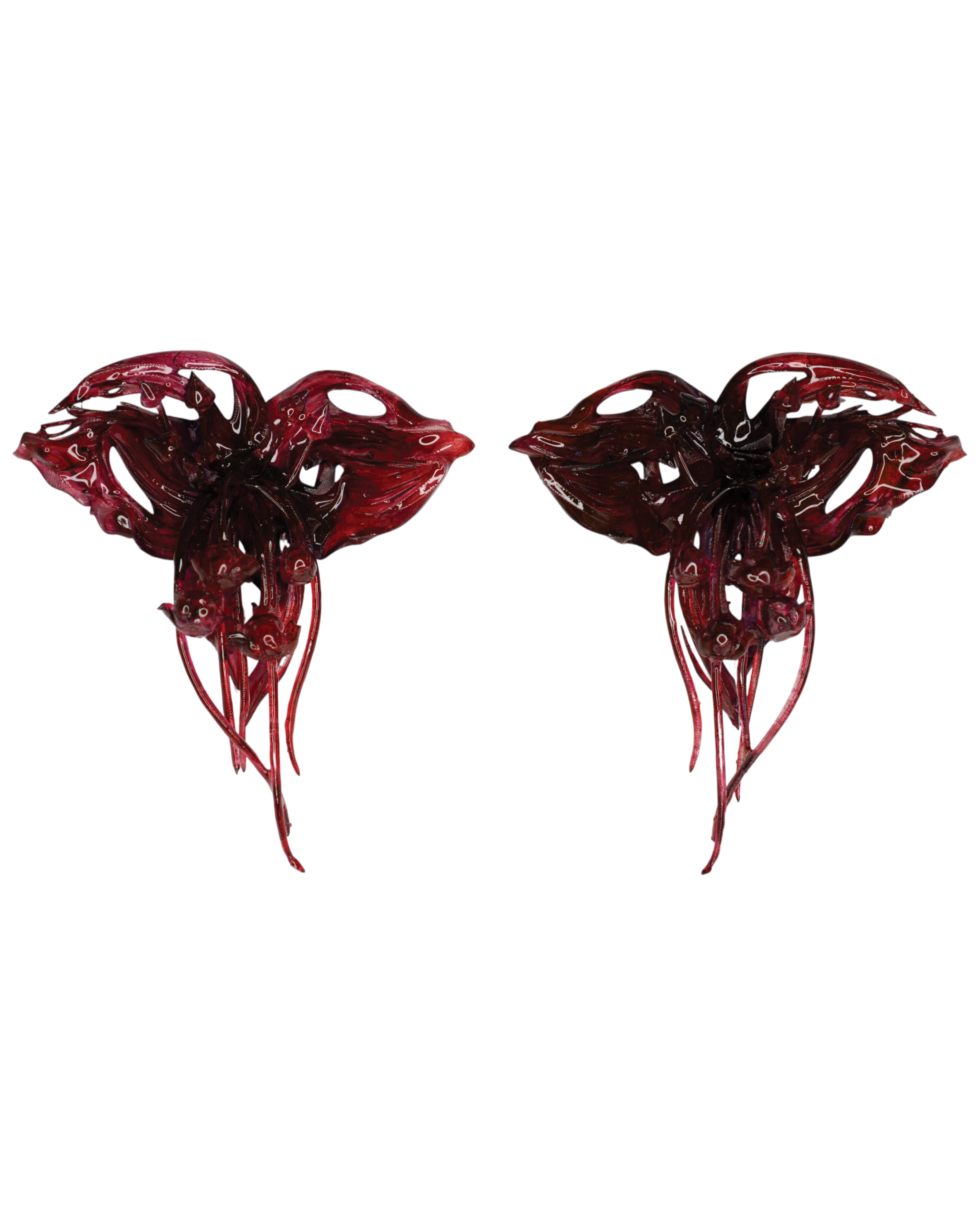 PRE ORDER - ‘Louloudi Nychterídas (bat flower)’ - Red
