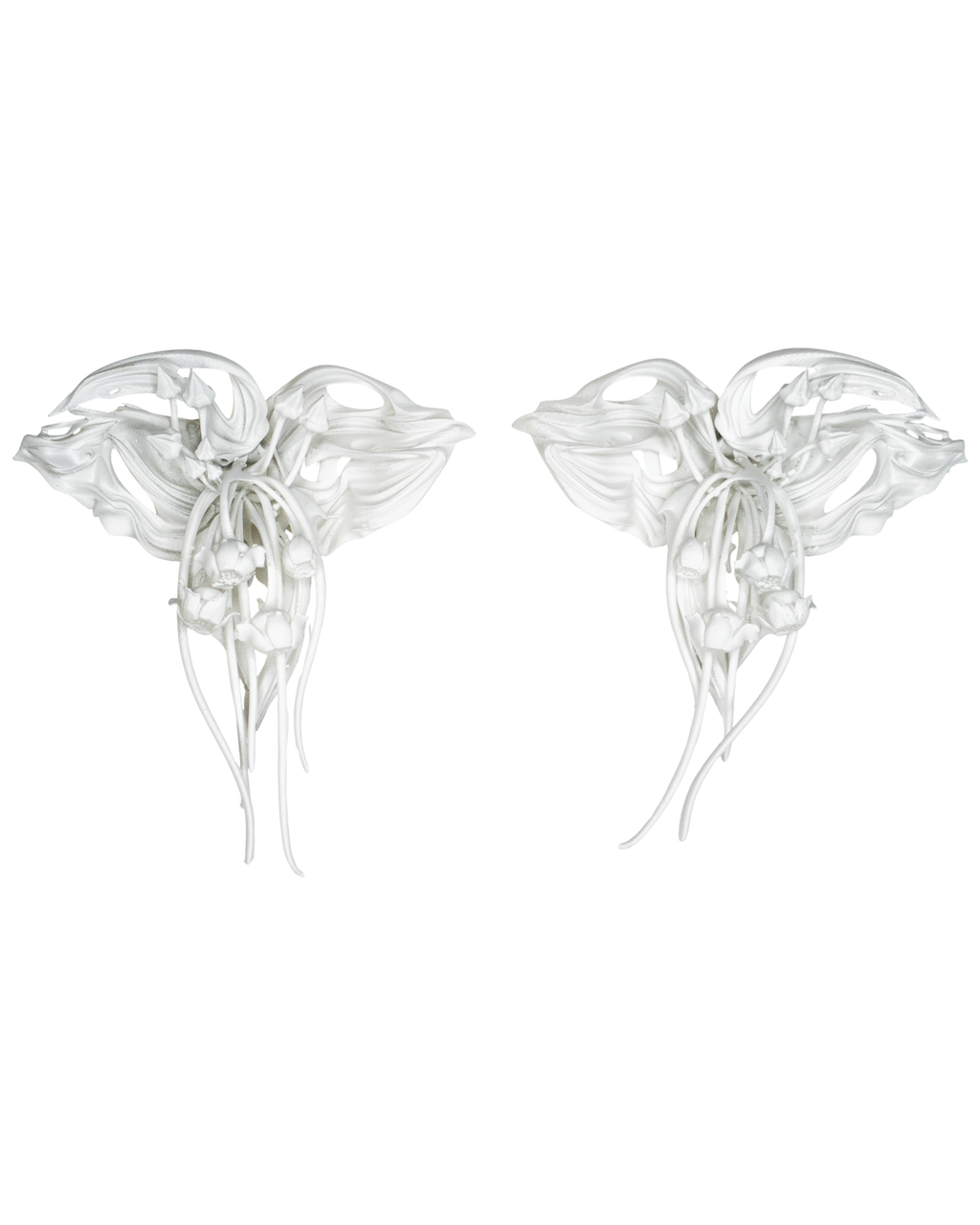 ‘Louloudi Nychterídas (bat flower)’ - White